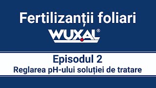 Episodul 2. AGENȚII DE TAMPONARE