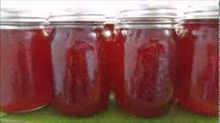 High Bush Cranberry Jelly