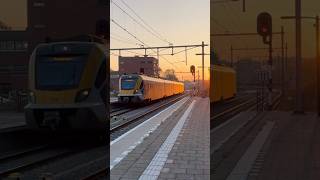 #shortsfeed #treinleven mag j  ook my aan met zonsondergang 🌅 op station Middelburg