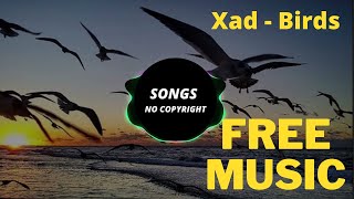 Xad - Birds - Songs No Copyright - Song: Xad - Birds