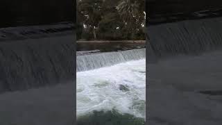 Vrindavan Gardens Mysore Water Flow