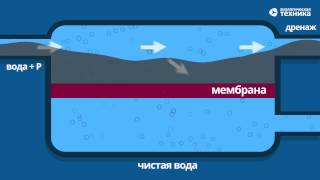 Можно ли пить воду из-под крана?