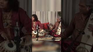 mesmerizing Ustad Tari Khan #tarikhan #tabla #tablaplayer #classicalmusic