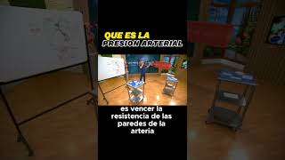 ¿Qué es REALMENTE la presión arterial? Explicación SIMPLE