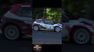 Rallye National Pays Saint Yrieix 2024, Hernandez Nicolas / Rageau Romain, Skoda Fabia Rally2