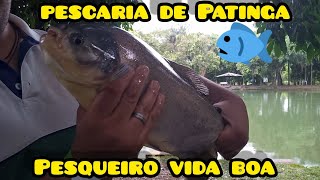 Em busca da Pirarara Ep 2 Pesqueiro Vida Boa #pescaria #patinga #pesqueiro #pescador #tamba