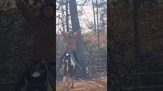 Riding rain with no reins and from my POV #horse #equestrian #horsebackriding #horseriding #horses