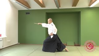 Kihon Dosa Renzoku  Tanto  Yoshinkan Aikido