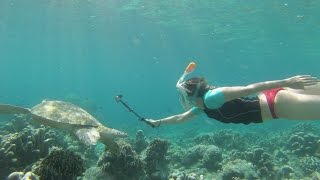 GoPro Snorkel Sipadan