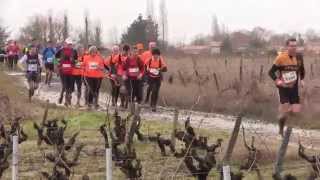 Trail du Vignoble Nantais 2015