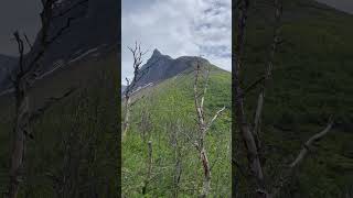 This is your sign to go hiking! #norway #travel #nature #visitnorway #geiranger #hikingdestinations