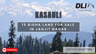 15 Bigha Land For Sale | Jagjitnagar (Kasauli) #realestate #kasauli #property