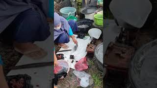 Proses Jual beli Lele dan belut di Pasar Tradisional