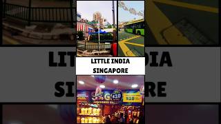 Little India Market in Singapore #travel #singaporevlog #littleindiasingapore #singapore #getaway