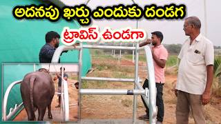 డైరీ ఫార్మ్ లో ఉండవలసింది Travis for dairy farm@MalleshAdla