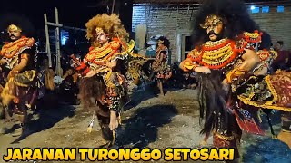 JARANAN TURONGGO SETOSARI