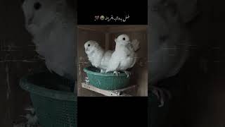 ٢٤ سبتمبر ٢٠٢٤