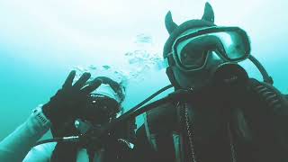 Dives Miri with Miri Divers.. Insta 360RS one,5 May 2024