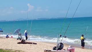 Torneio de pesca.