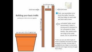 How to Bulid A Simple Starter Trellis