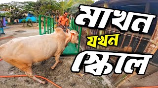 খামারের জন্য ওয়েট মেশিন কিনে ফেললাম || Purbasha Agro