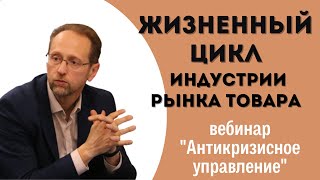 Антикризисное управление. Часть 5. "Жизненный цикл индустрии рынка товара"