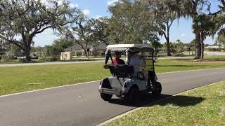 Water Lily Bridge and golf carts The Villages Florida