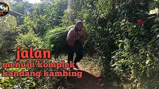 JALAN MENUJU KOMPLEK KANDANG KAMBING/sidanghayu.brebes jaw tengah. #suasanapedesaan#plosokkampung#@