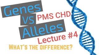 What is Genes and Alleles |How are genes and alleles inherited? PMS Biology Lecture 4