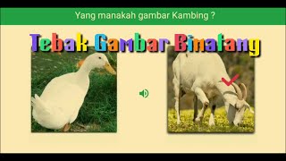 Bermain Tebak Gambar Hewan | Harimau, Koala, Kambing, Ikan, Burung | Bermain Sambil Belajar