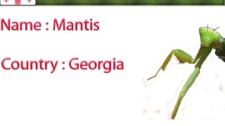 Mantis