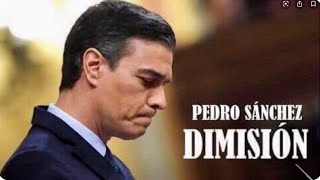 PEDRO SÁNCHEZ !!!    DIMISIÓN !!!