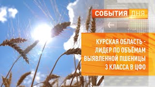 Курская область - лидер по объёмам выявленной пшеницы 3 класса в ЦФО