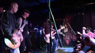 street dogs at Dover Brickhouse Dover, NH on December 17, 2015 1