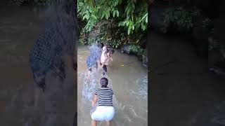 Waterfall (Hidden World /Park) in Natun Kanchanpur, Assam short-2