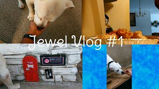 Jewel Vlog #1 (Early Morning Walks, Pet Store Affection, A Rose In The Snow)