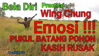 Beladiri Praktek Wing Chun Emosi Pukul Batang Pohon Kasih Rusak #pukulbatangpohon