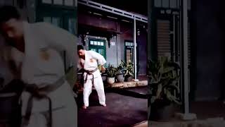 double stick clurit tajam #shortvideo #karateka #masihkohai