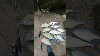 Hasil Mancing Ultra Light Casting #castingfishing #mancing #shorts