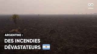 En Argentine, près de 800 000 hectares de terres perdus à cause des feux de forêt