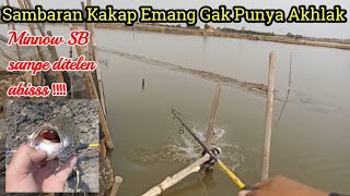 Sambaran kakap putih bikin syok #ultralightfishing #ultralightcasting