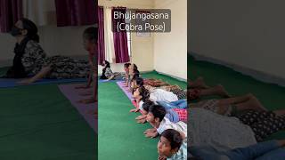 Bhujangasana | Spine Flexibility Yoga Pose | #yoga #bhujangasana #flexibility #yogaclasses #shorts