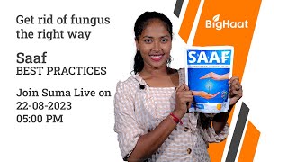 Saaf- Best Practices