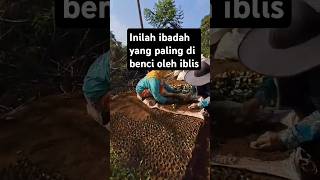 Kalian harus tau nih... #kisahnyata #kutipanislam #kutipanislami #kisah #viralvideo