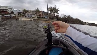 Grubz | Chubby Crank | Daiwa Double Clutch