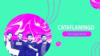 Cataflamingo - Peron Music Tehetségkutató - Tatabánya - Interjú