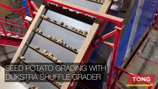 Seed Potato Grading Line featuring Dijkstra Shuffle Grader from Tong Engineering