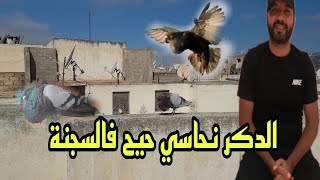 الدكر النحاسي حيح فالسجنة 😍🕊 تولعية صباحية