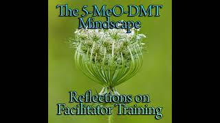 Episode 301: The 5-MeO-DMT Mindscape - Reflections on Facilitator Training