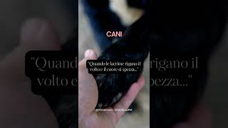 "Quando le #lacrime rigano il volto e il #cuore si spezza..." #cani #canifelici #amore #animali